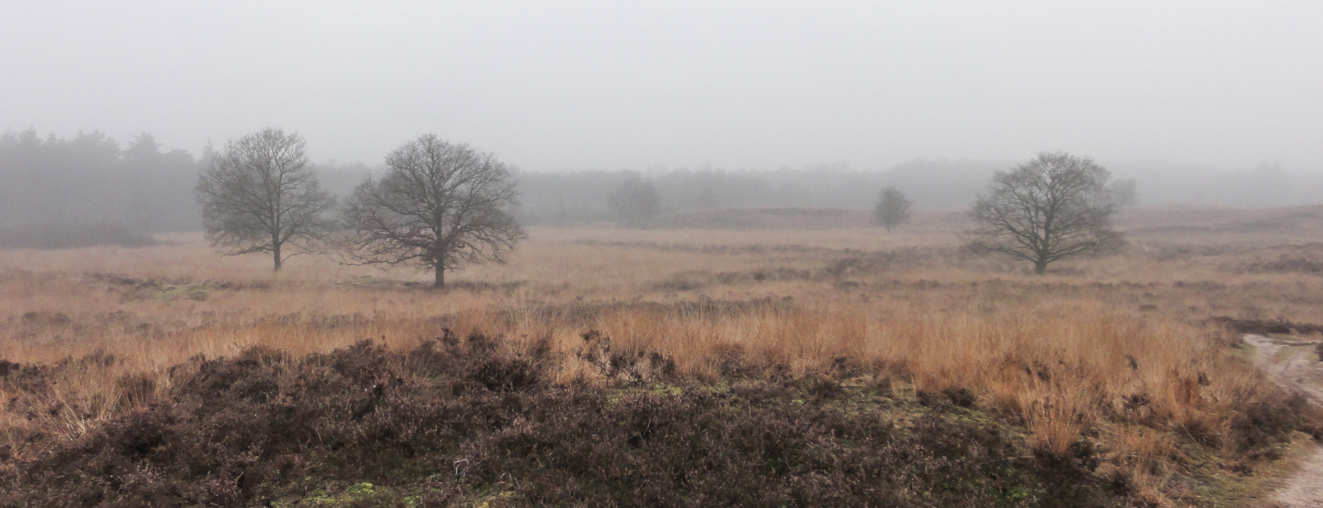 Je bekijkt nu Zuidlaren – Rolde (Pieterpad etappe 4)