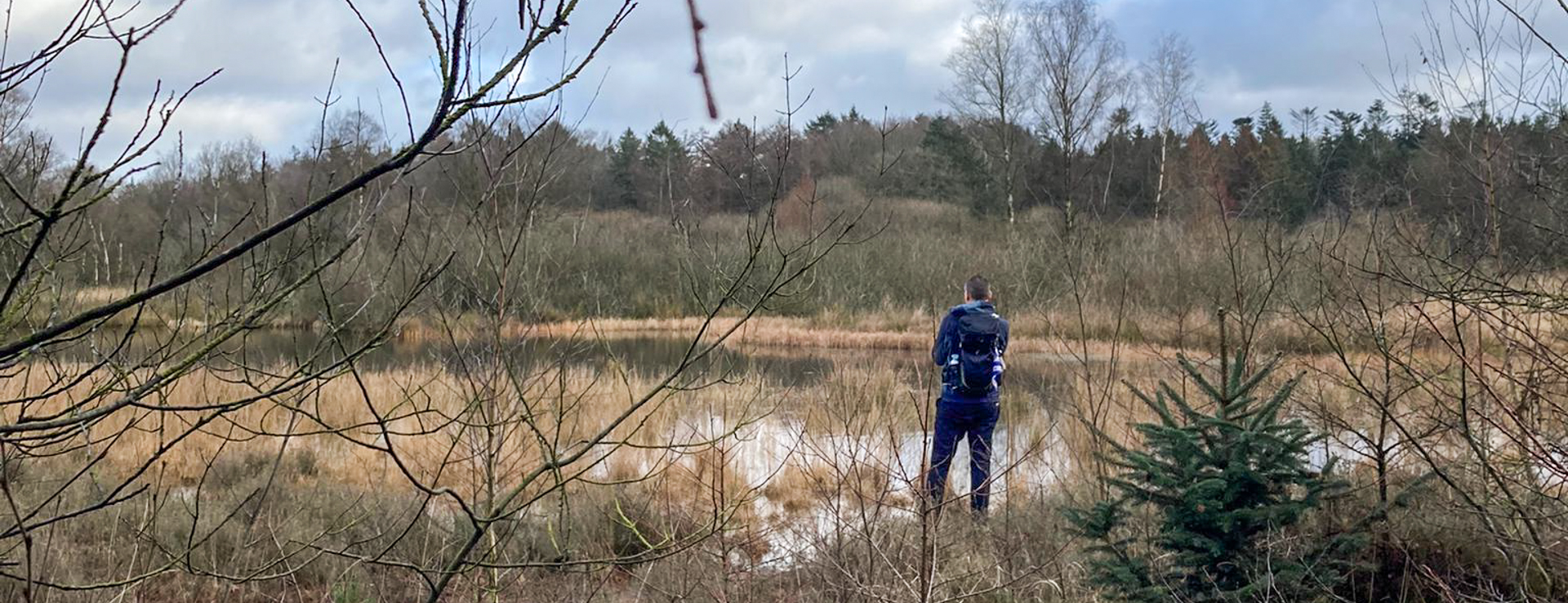 Je bekijkt nu Rolde – Schoonloo (Pieterpad etappe 5)