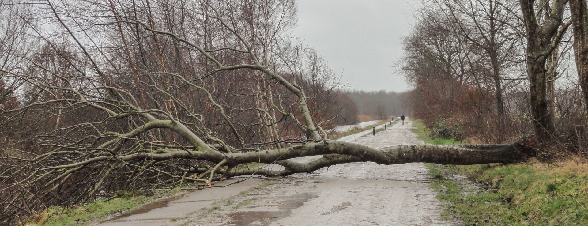 Je bekijkt nu Sleen – Coevorden (Pieterpad etappe 7)