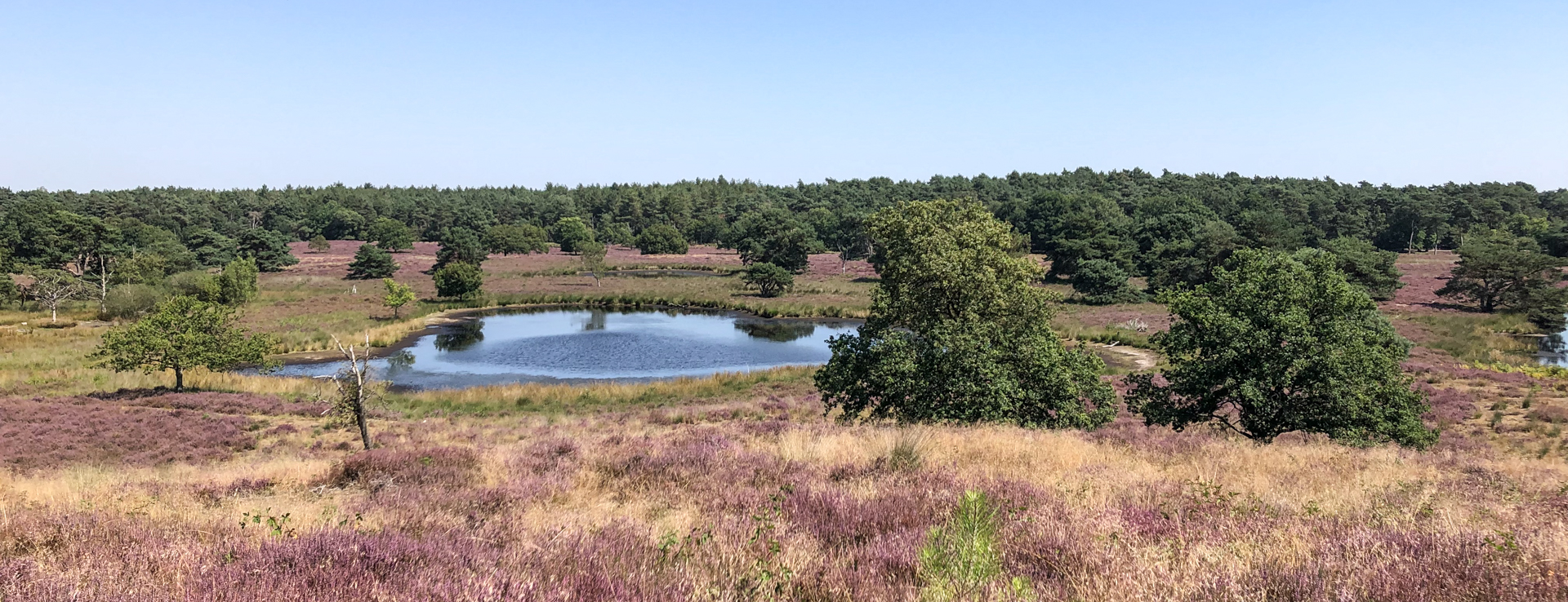 Je bekijkt nu Gennep – Vierlingsbeek (Pieterpad etappe 19)