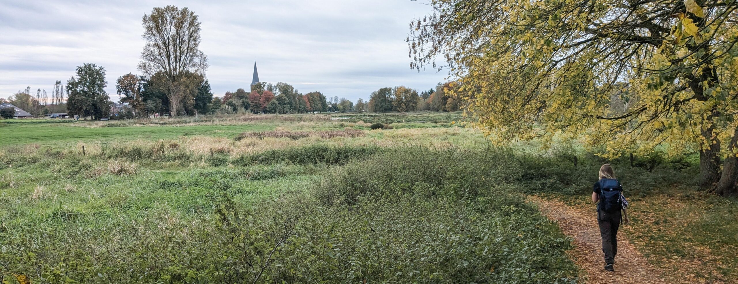 Lees meer over het artikel Kranenburg – Goch (Jacobspad Limburg E2)