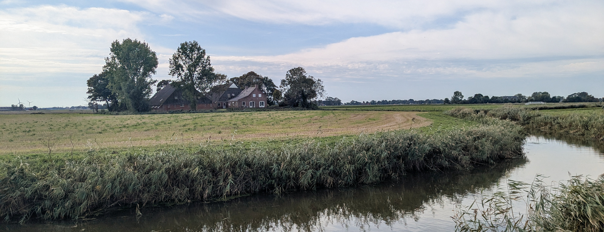 Lees meer over het artikel Usquert – Uithuizermeeden (Ziltepad E18)