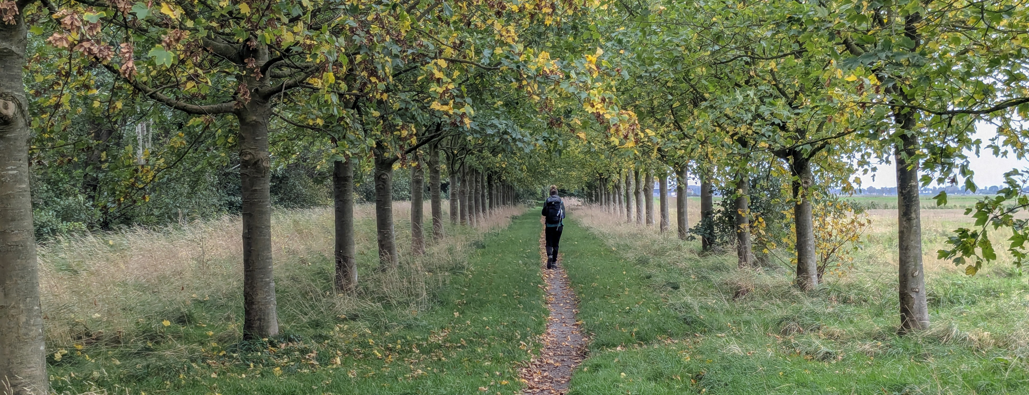 Lees meer over het artikel Uithuizermeeden – Losdorp (Ziltepad E19)