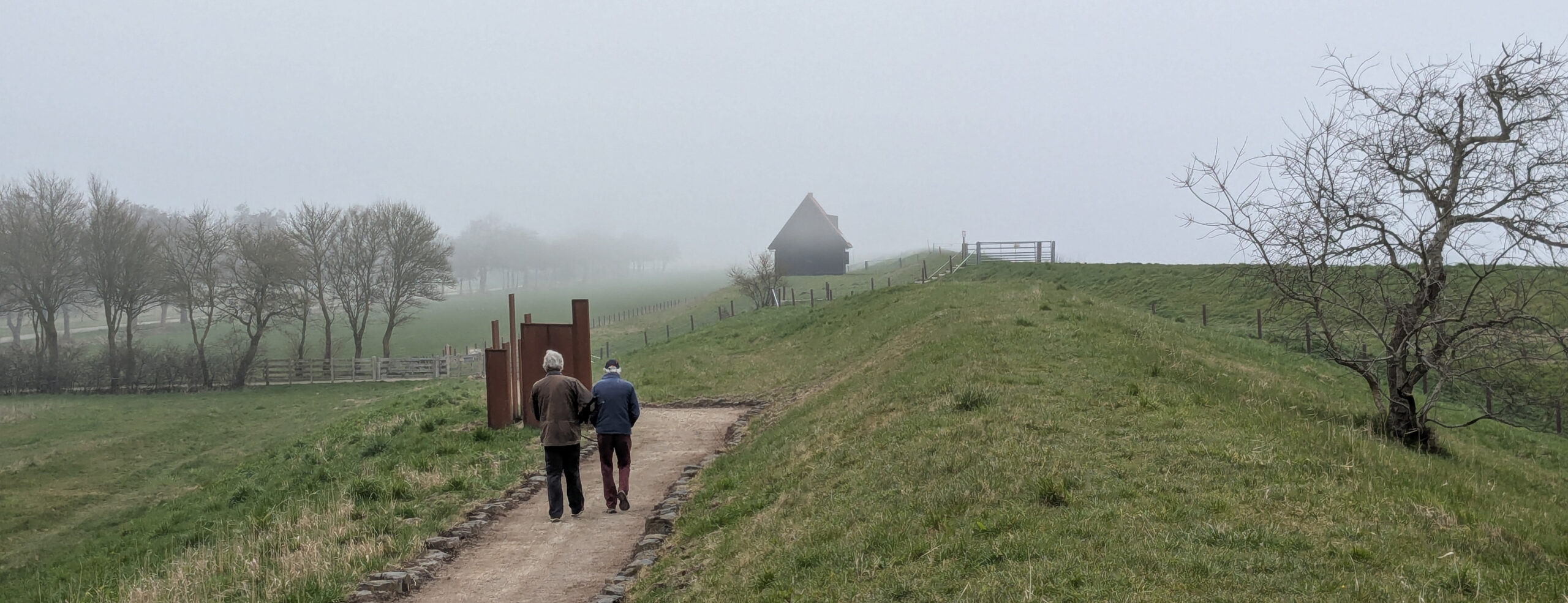 Lees meer over het artikel Oosterland rondwandeling (Ziltepad E7)