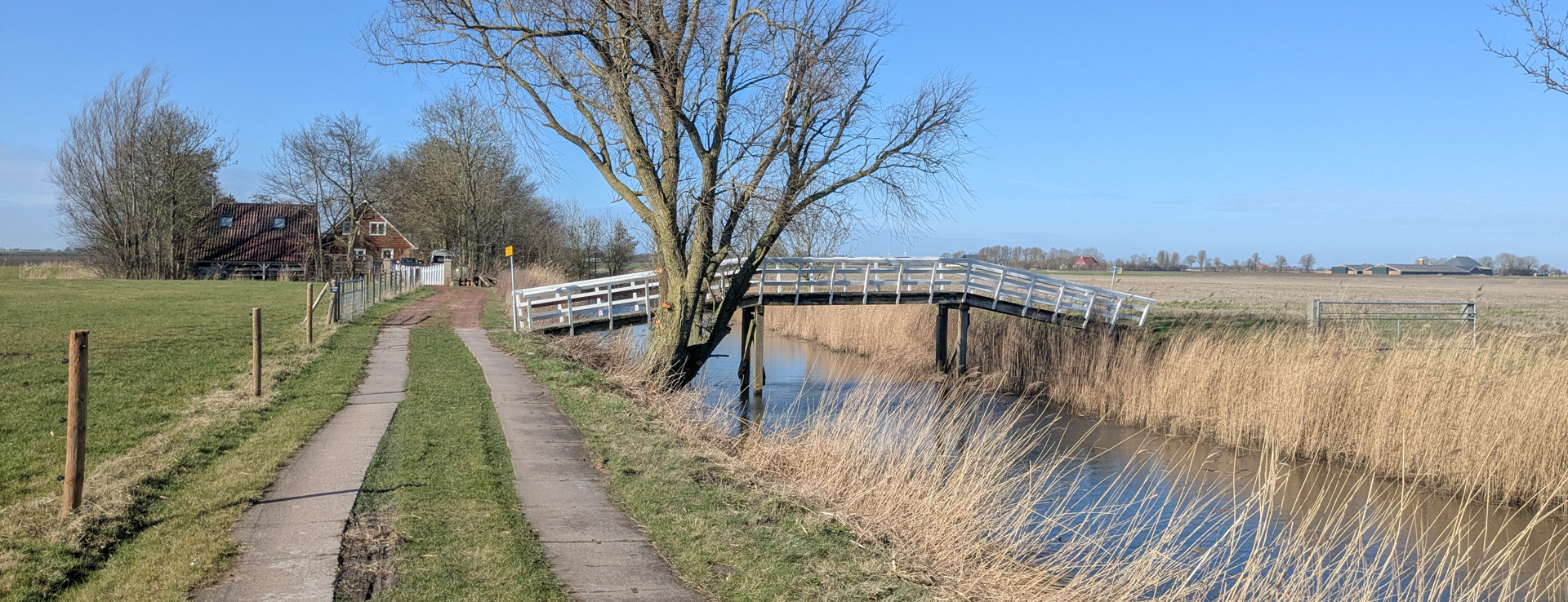 Lees meer over het artikel Peins – Oosterbierum (Ziltepad E9 + 8-B)