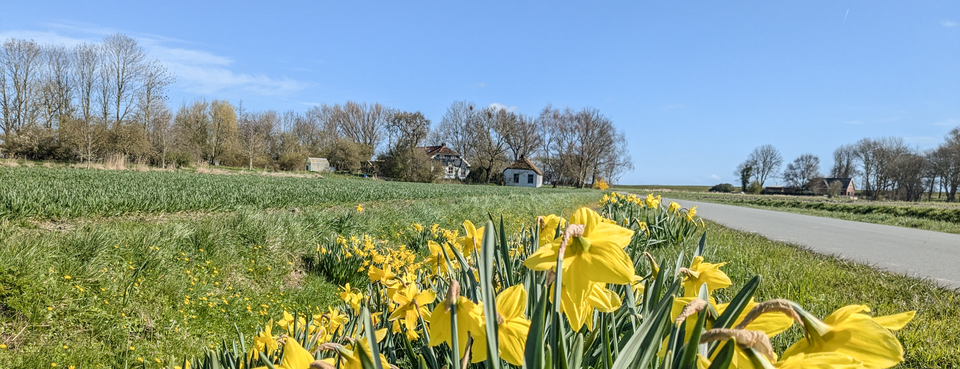 Lees meer over het artikel Losdorp – Uitwierde (Ziltepad E20)