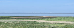 Lees meer over het artikel Stroe – Westerland (Ziltepad E5)