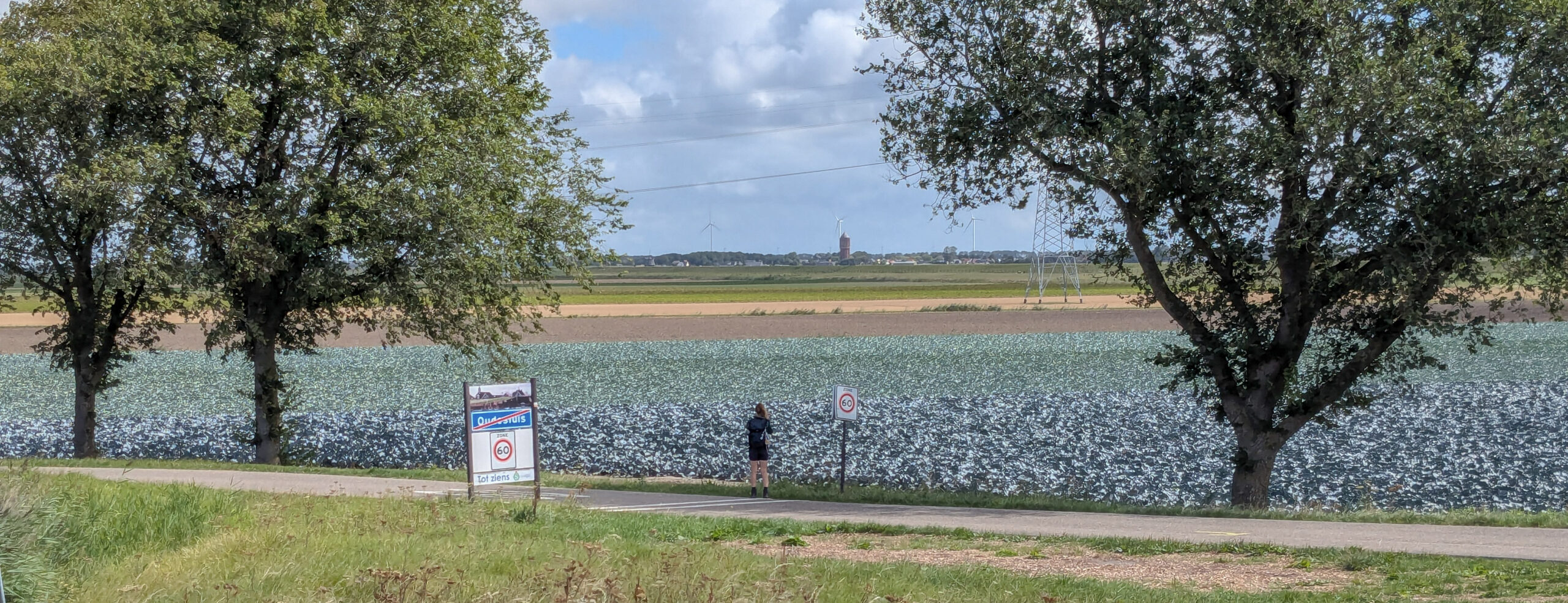 Lees meer over het artikel Wieringerwaard – Anna Paulowna (Ziltepad E3)