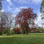 Net buiten de stadsgrachten van Zwolle lopen we Park Eekhout binnen.