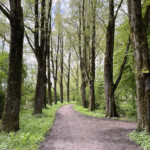 Spoolderbos Zwolle