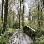 Eén van de acht recent geplaatste bruggen op landgoed Windesheim.