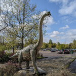 Een brontosaurus die het parkeerterrein van Dinoland Zwolle bewaakt.