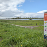 Vanaf de Schellerdijk net buiten Zwolle gaat de wandelroute van de Jacobswegen linksaf langs de IJssel.