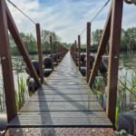 Via de drijvende brug steken we de Lange Kolk bij Den Nul over.