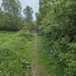 Tegenover het oude Tolhuis loopt de route via een wandelpad de dijk af.